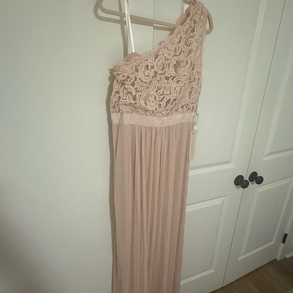 Adrianna Papell Blush Lace One-Shoulder Maxi Dress